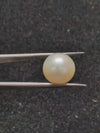 South Sea Pearl ~ 15.40 Cts