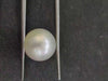 South Sea Pearl ~ 9.27 Cts