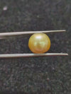 Golden South Sea Pearl - 6.94 Cts