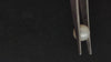 South Sea Pearl ~ 3.96 Cts