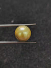 Golden South Sea Pearl - 9.48 Cts
