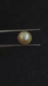 South Sea Pearl~5.34 Cts