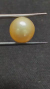 South Sea Pearl - 5.67 Cts