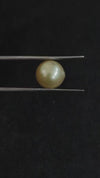 South Sea Pearl~5.89 Cts