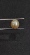 South Sea Pearl~ 4.88 Cts
