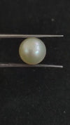 South Sea Pearl~5.62 Cts
