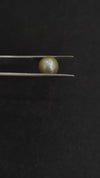 South Sea Pearl~6.40 Cts