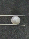 South Sea Pearl ~ 7.80 Cts